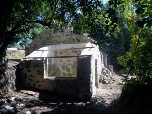 DSC02211